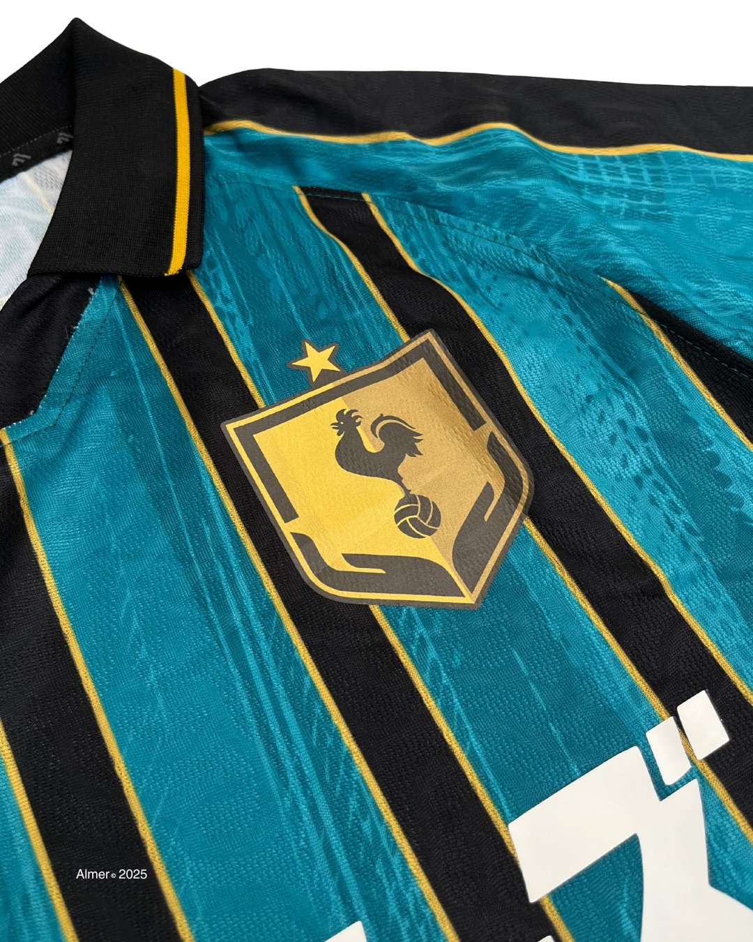 CUSTOM JERSEY PAKET PRO